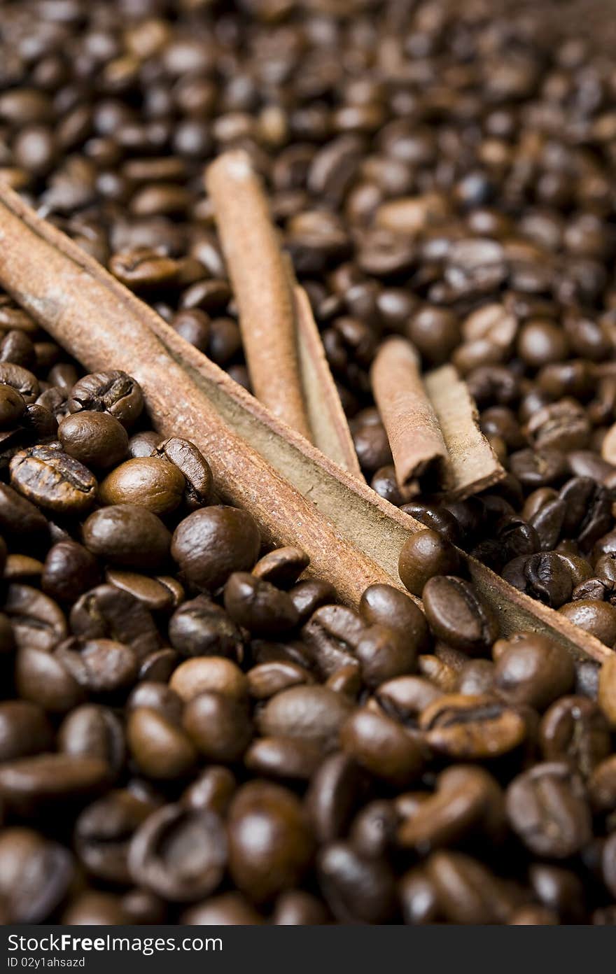 Coffee Beans With Cinnamon