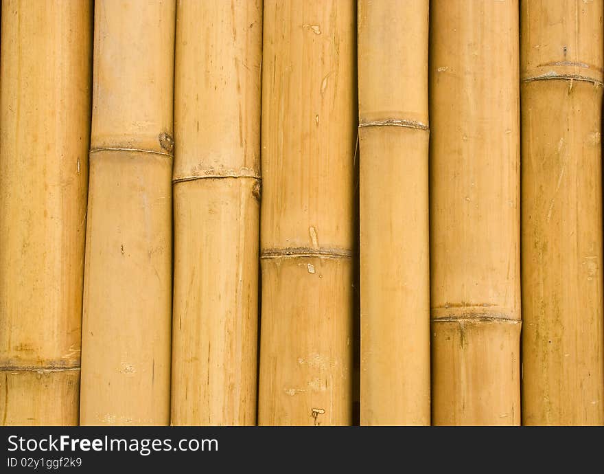 Closed Up Bamboo Background