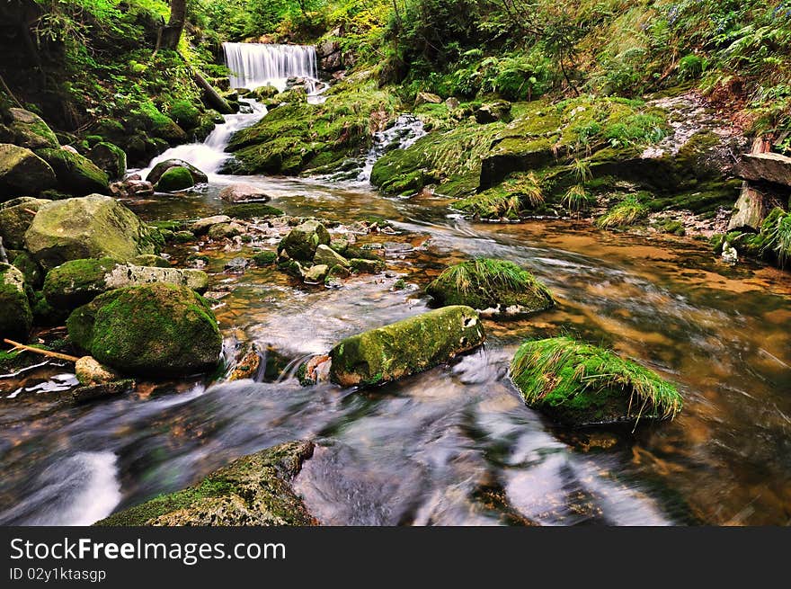 The river Bear Creek