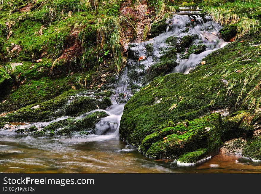 The river Bear Creek