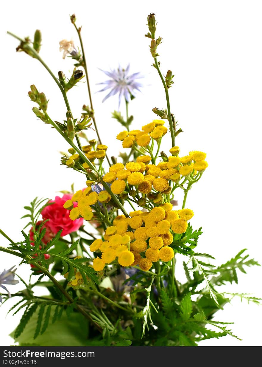 Bucket of wildflowers on white background