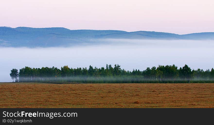 Wide landscape