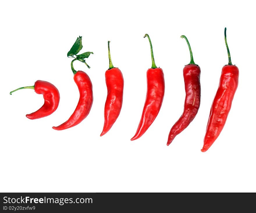 Red peppers isolated on white