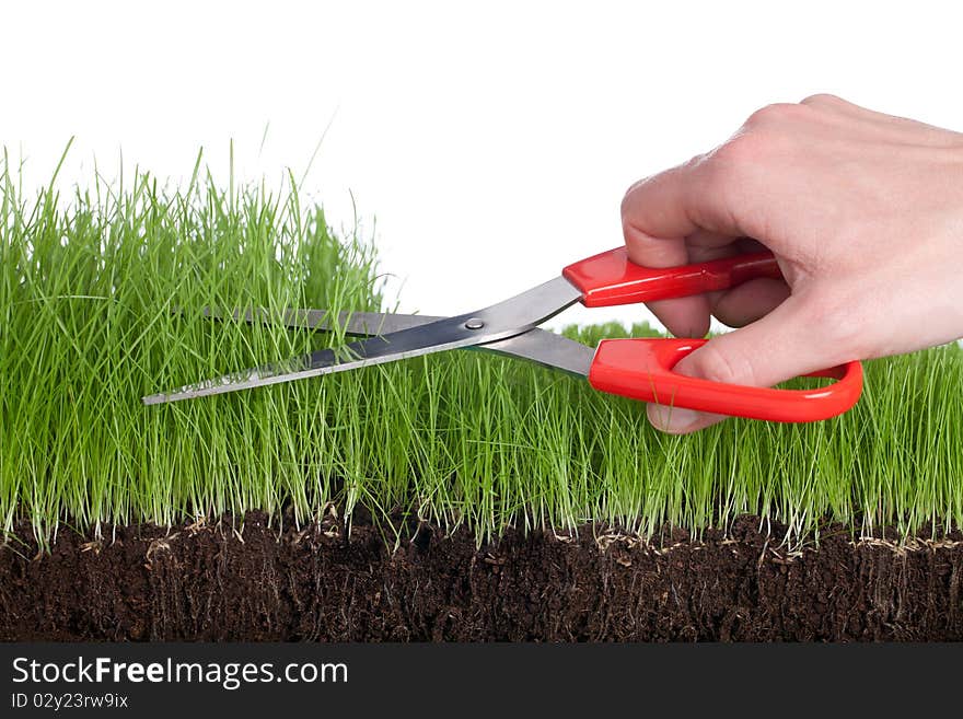 Working in the garden - cutting the grass