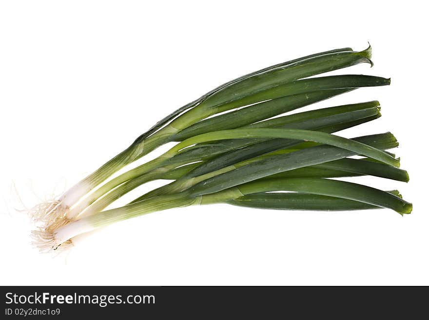 Spring Onions, isolated