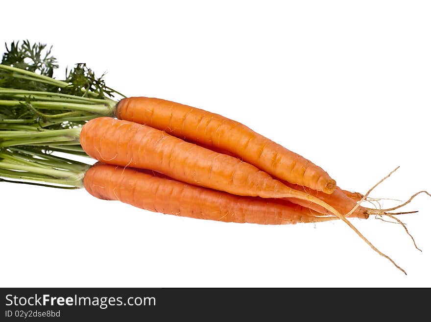 Carrots, completely isolated