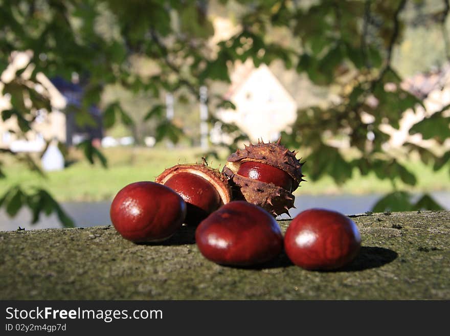 ...chestnuts...