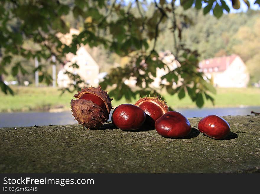 ...chestnuts...