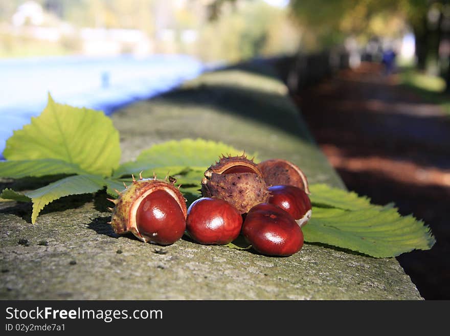 ...chestnuts...