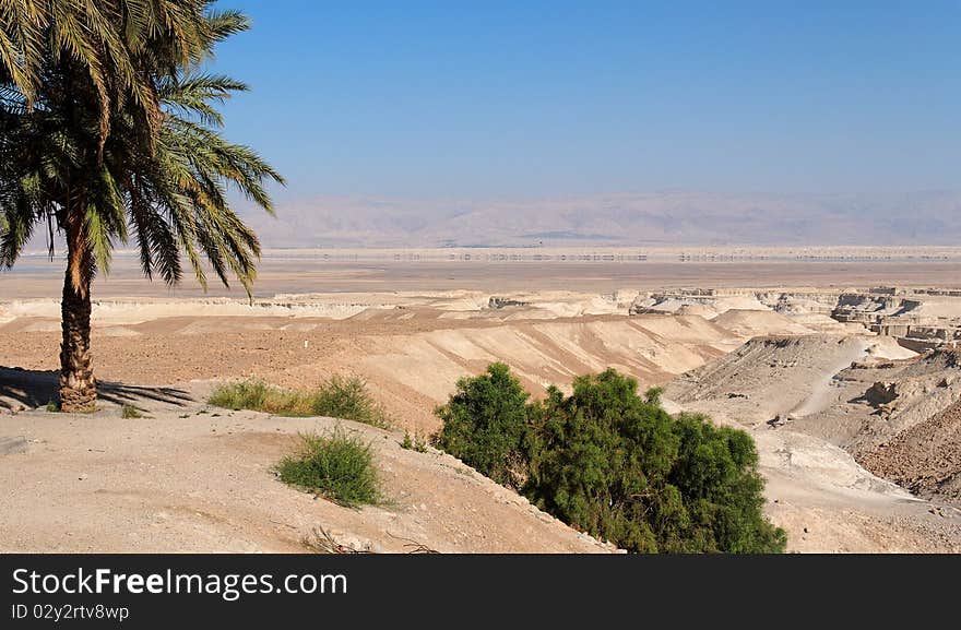 Desert landscape with oasis near the Dead Sea in Israel