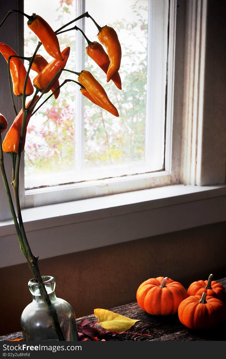 Autumn vignette of vase of orange peppers with a background window view and mini pumpkins. Autumn vignette of vase of orange peppers with a background window view and mini pumpkins