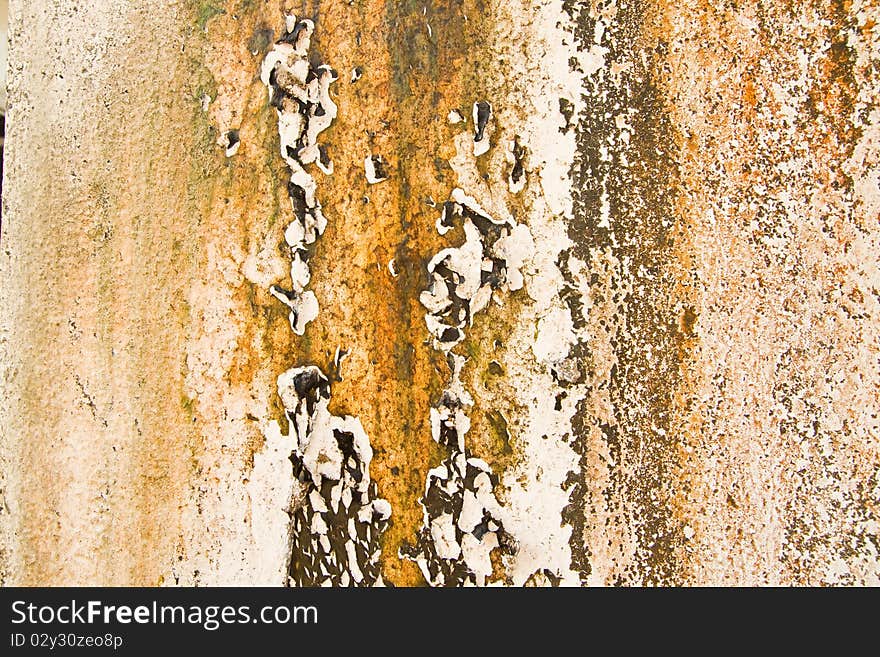 Texture Of Old Wall