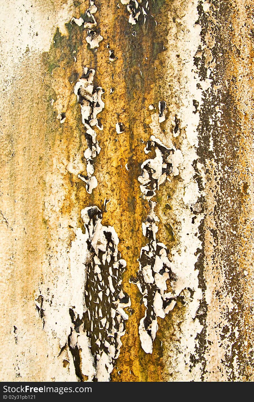 Texture of old wall