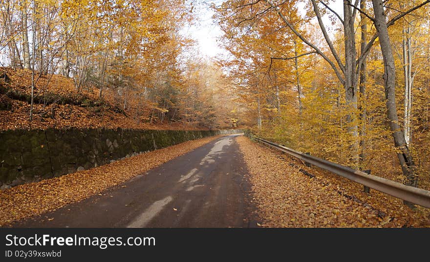 The road from Bixad town (Romania) to saint Ana lake. The road from Bixad town (Romania) to saint Ana lake.