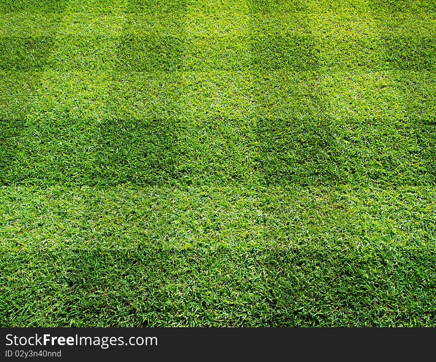 Perspective view of Beautiful square tone lawn. Perspective view of Beautiful square tone lawn