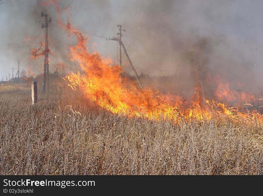 Grass fire