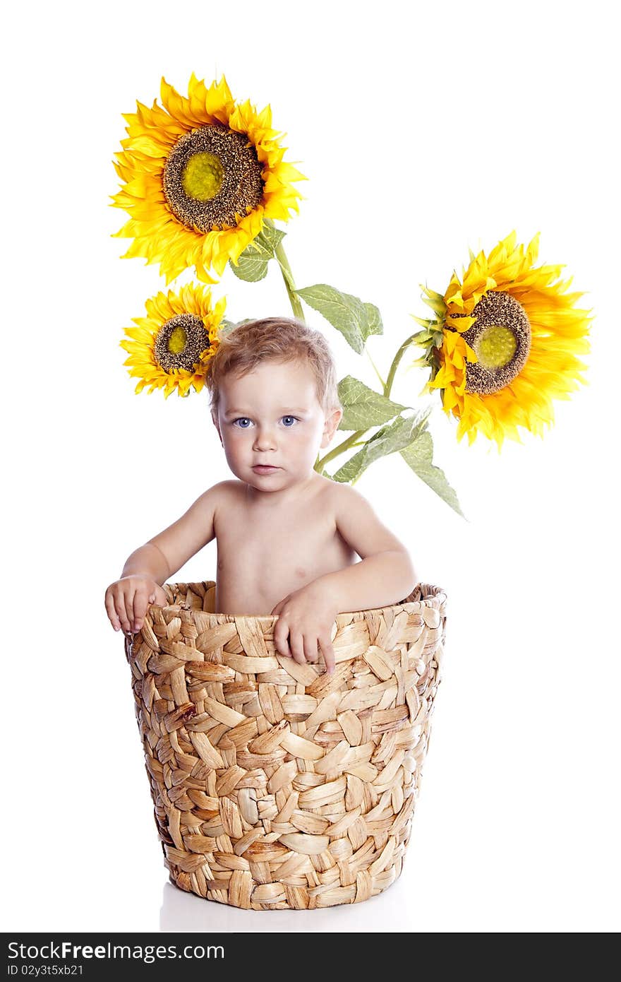 Baby boy with flowers on white