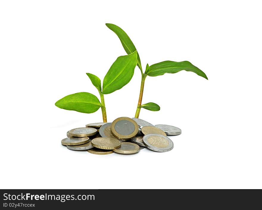 Plant growing from pile of coins