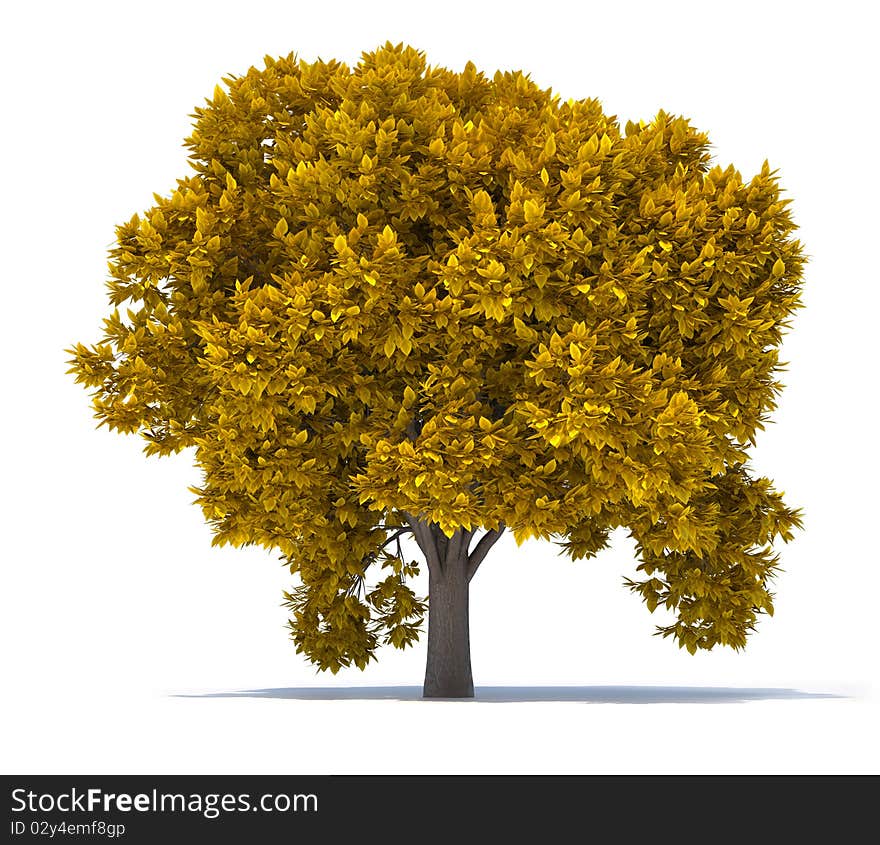 Tree leaf rust - this is a 3d render illustration