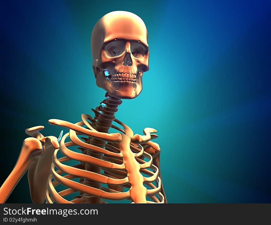 Human skeleton - this is a 3d render illustration