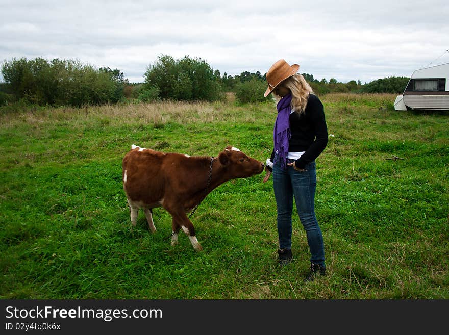 The beautiful girl and Calf, brown-white colour, grazes on glade, in hot, year day