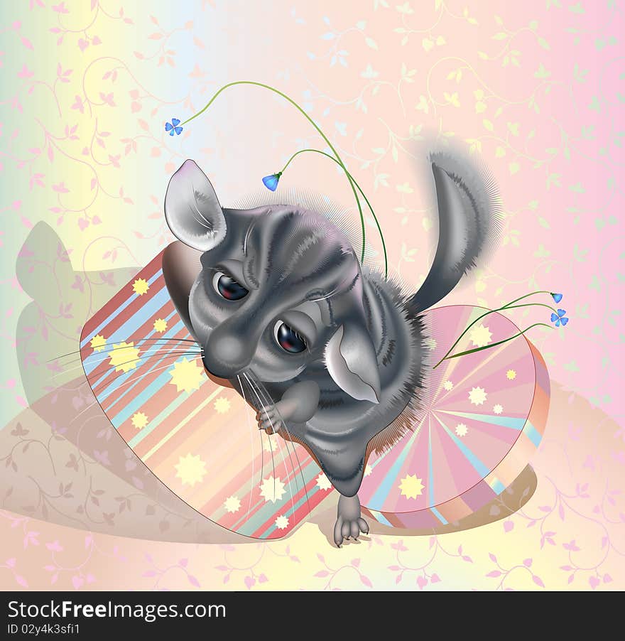 Chinchilla in gets out of a gift box. Chinchilla in gets out of a gift box