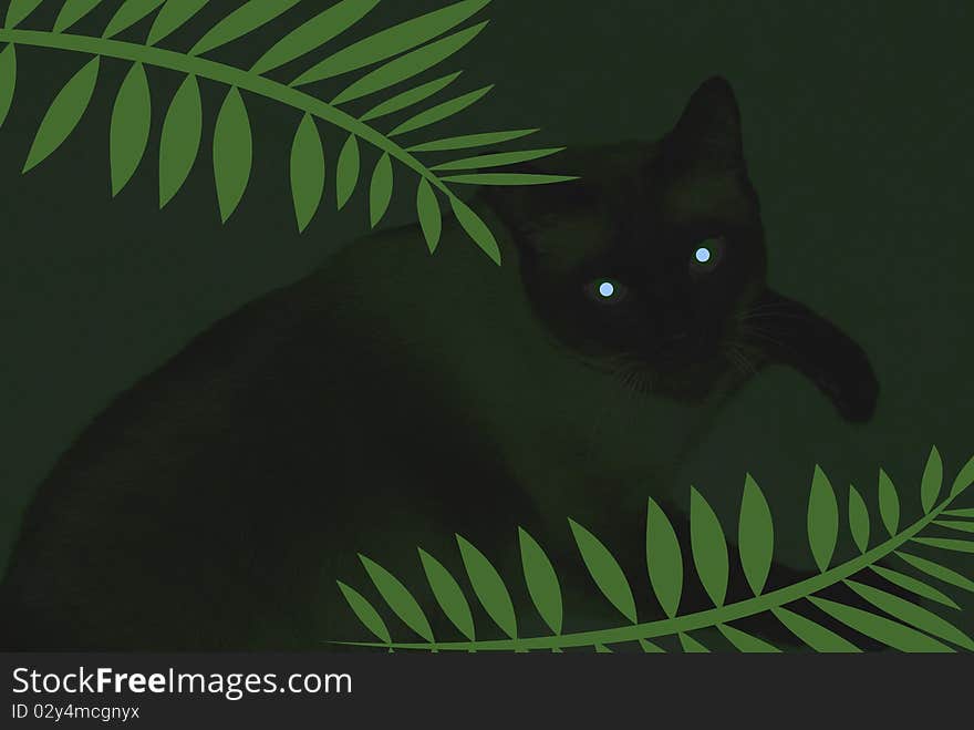 Eerie cat eyes