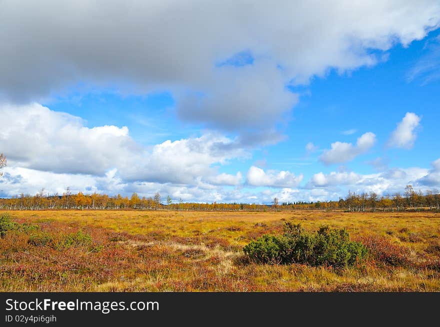 Plateau in Sweden, in the fall.