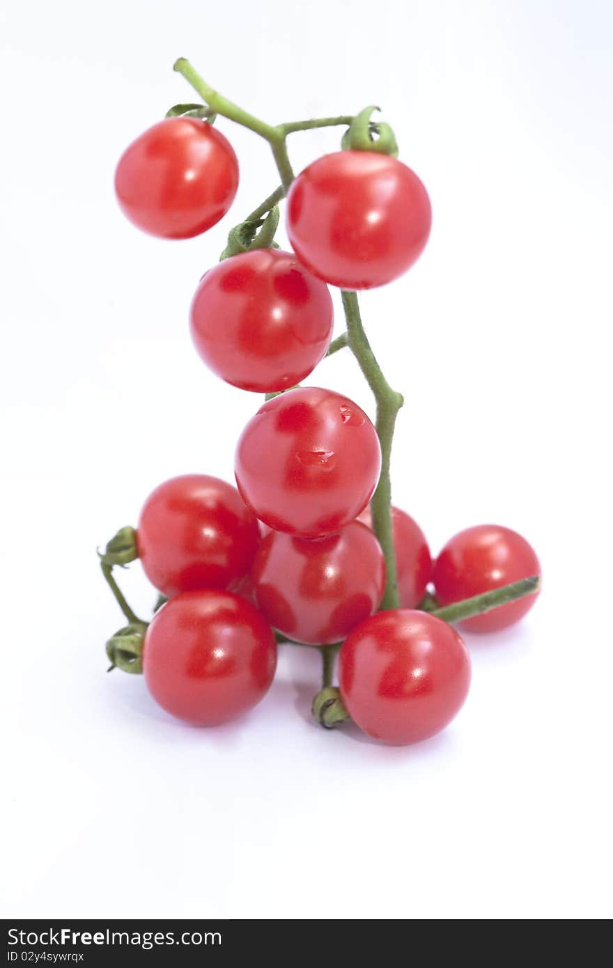 Branch of cherry tomatoes isolated on white background