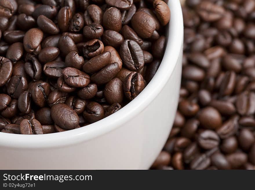 Close up of coffee beans in a white cup. Close up of coffee beans in a white cup