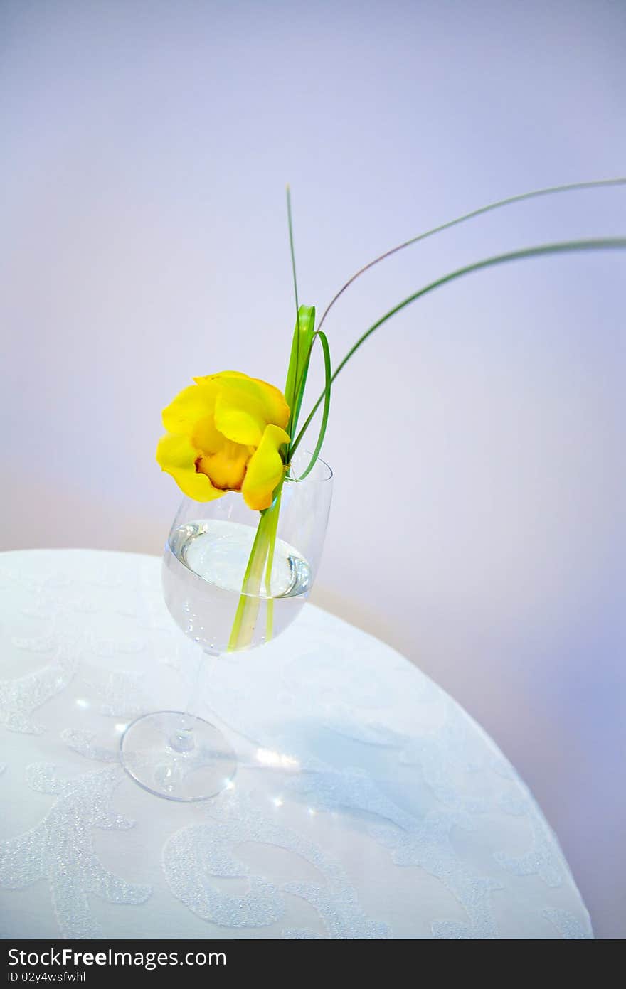 Flower In Vase