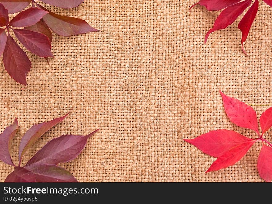 Linen background with leaves