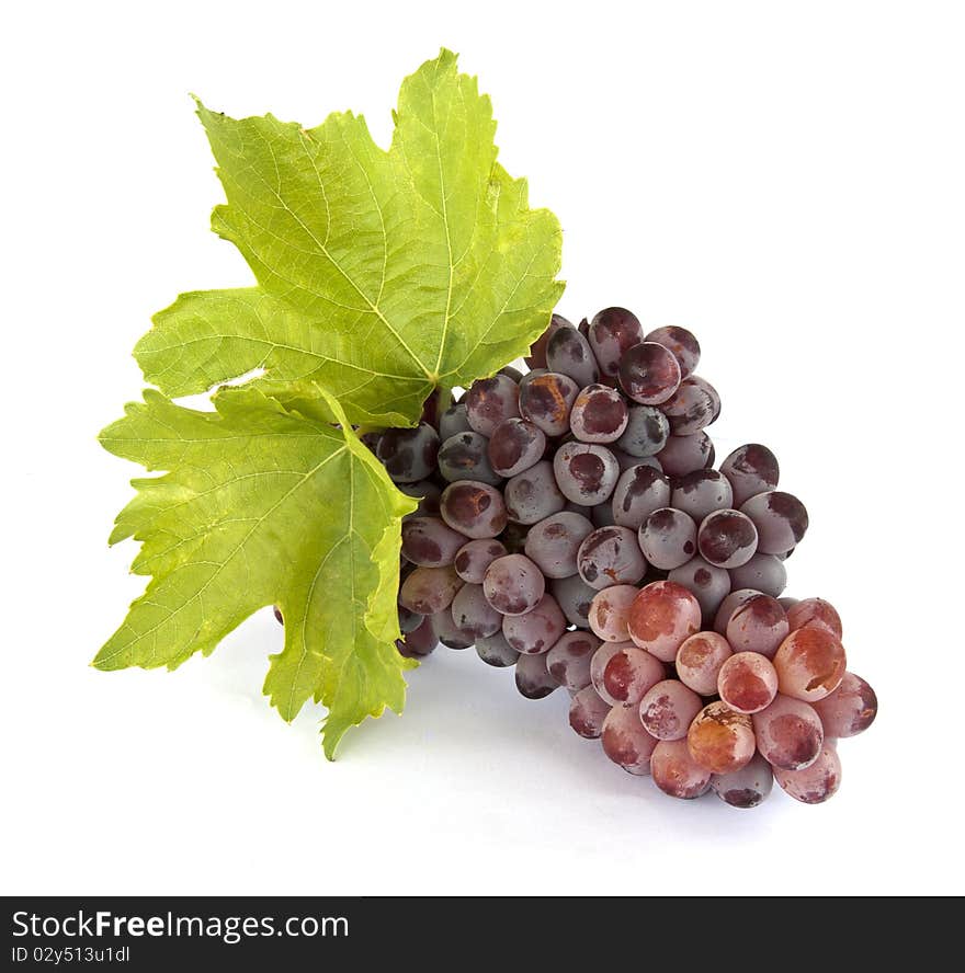 Bunch of grapes on white background. Bunch of grapes on white background