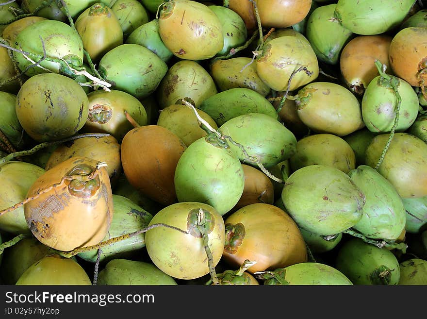 Image of fresh organic green coconuts. Image of fresh organic green coconuts