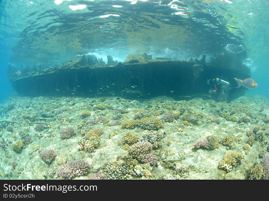 The Remains of the Lara shipwreck