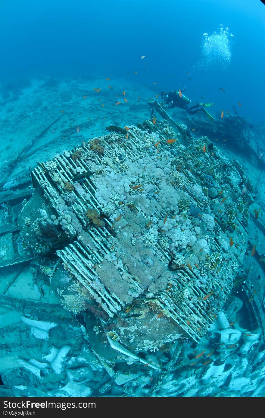 Abandoned cargo from shipwreck