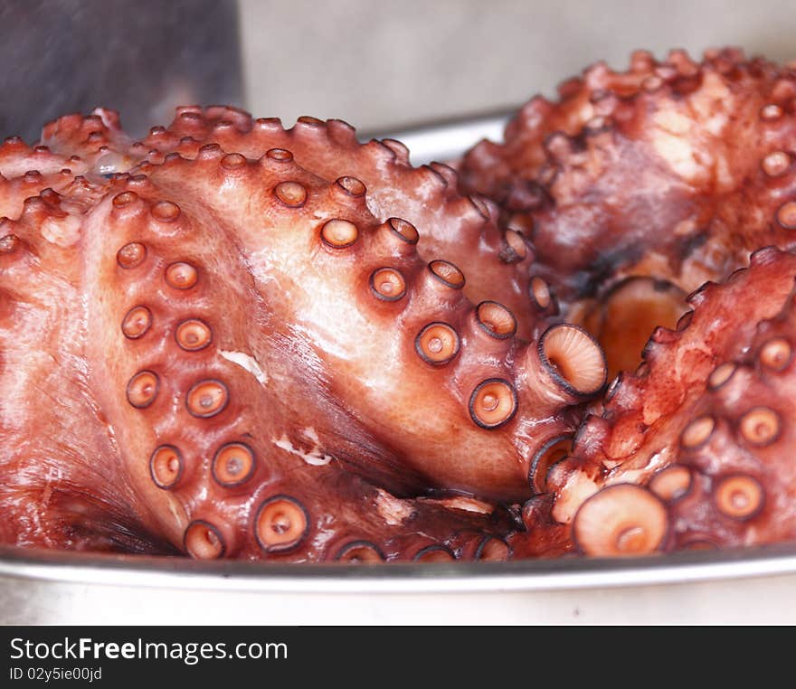 A Mediterranean octupus caught and ready to cook. I use an ultra high quality CANON L SERIES lens to provide you the buyer with the highest quality of images. Please buy with confidence :-)