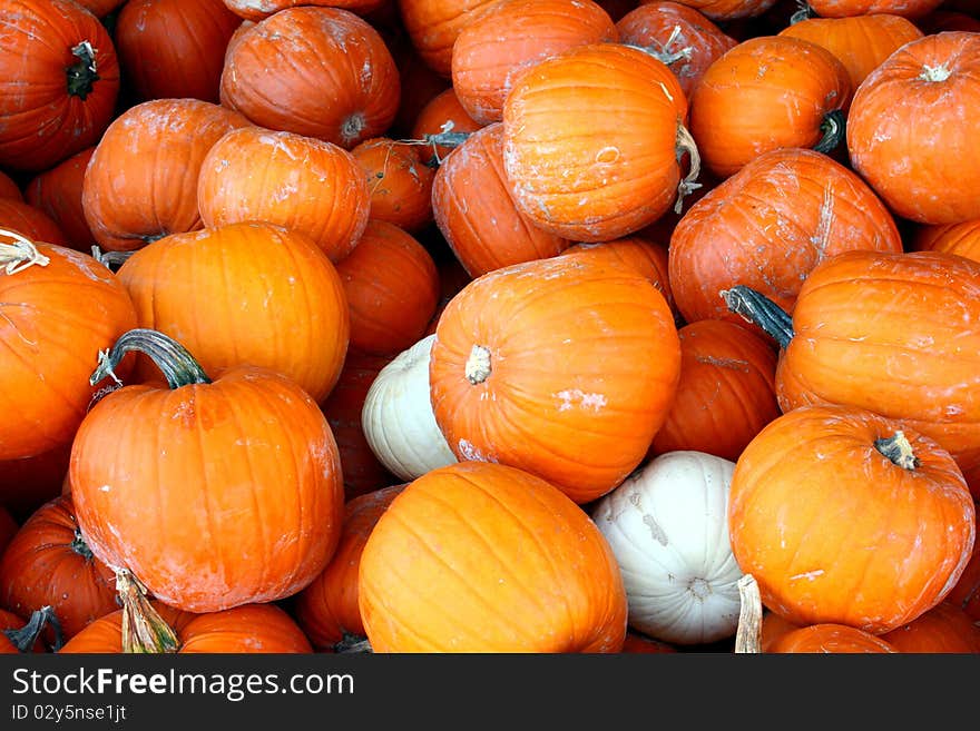 A disordered pile of orange and white pumpkins. A disordered pile of orange and white pumpkins.