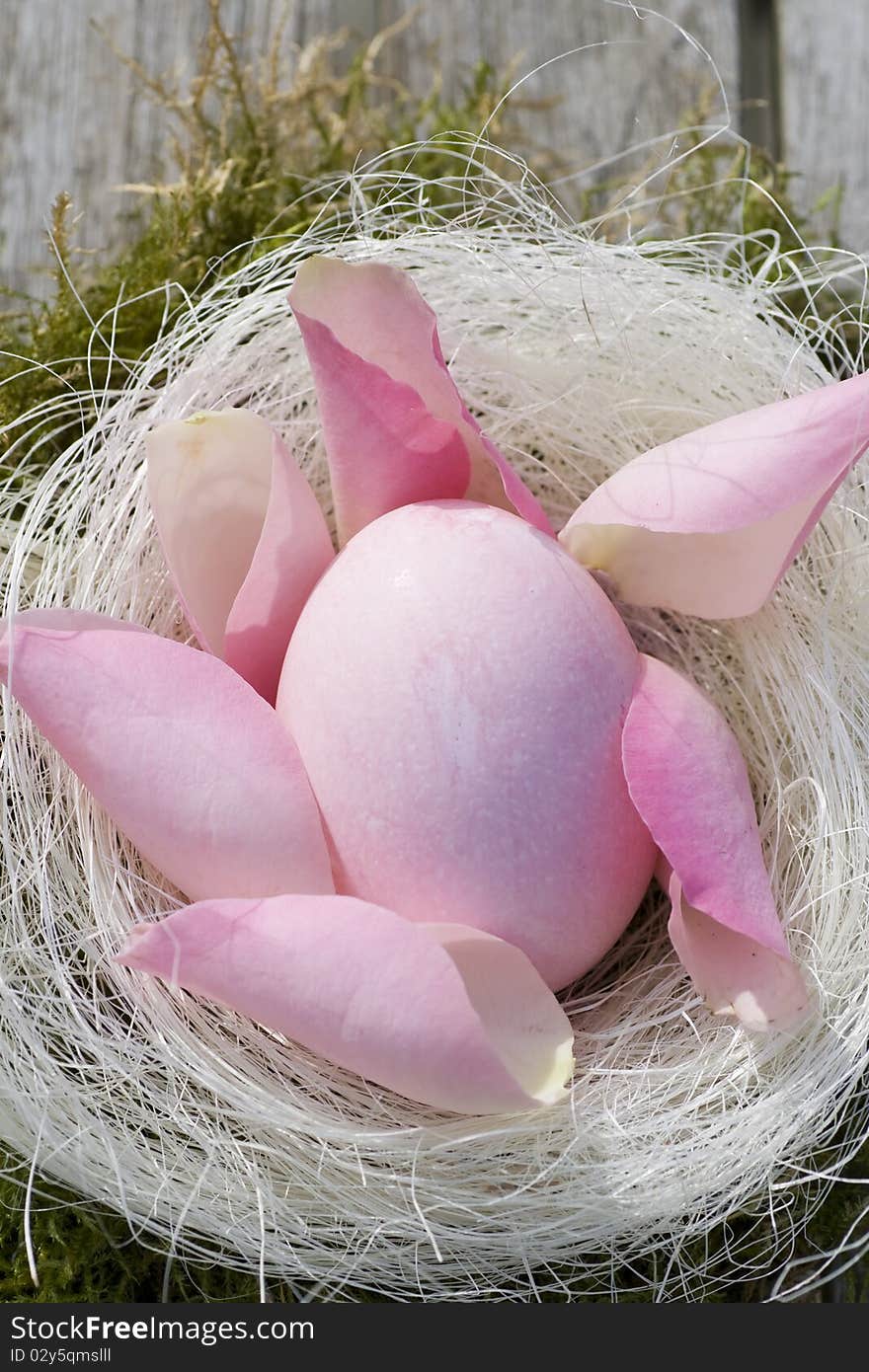 Easter egg in pastel with pink petals