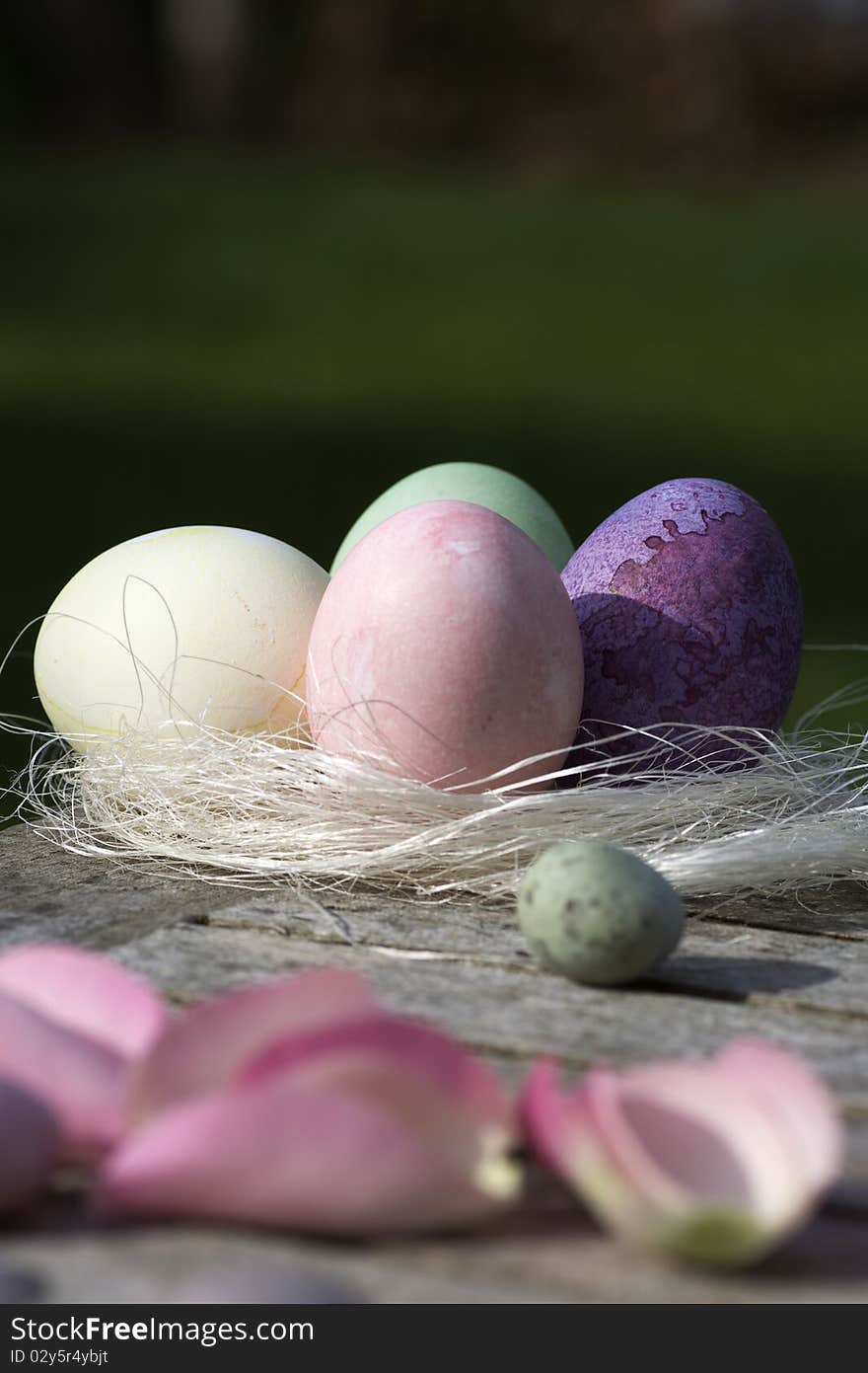 Easter eggs in pastel and pink petals in country style