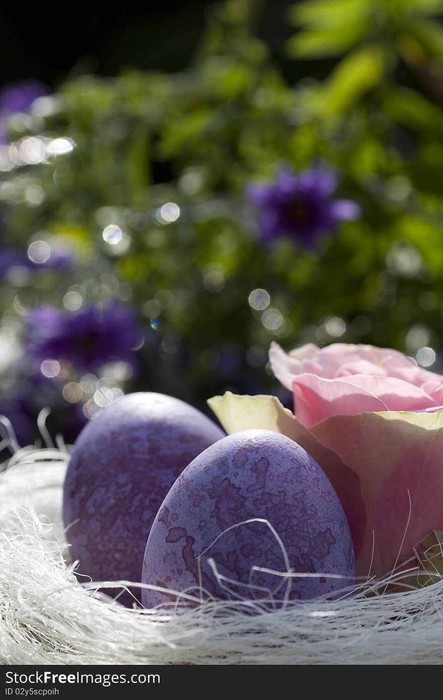 Easter Eggs In Purple With Rose In The Garden