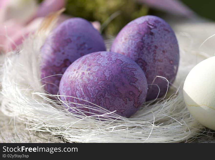 Three Easter Eggs In Purple Close-up