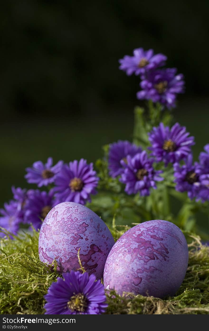 Two purple easter eggs in the nest still life