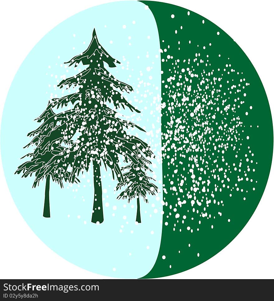 Christmas trees on is snow blue background. Christmas trees on is snow blue background