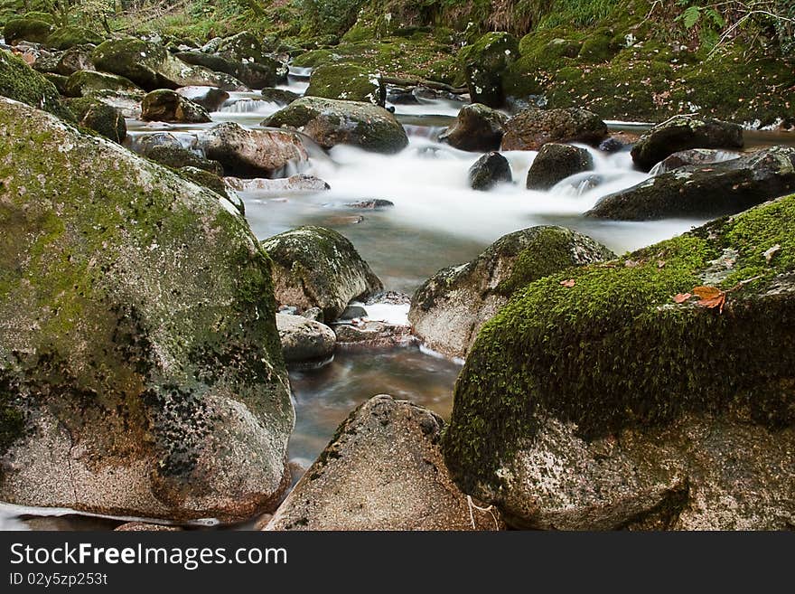 Dartmoor Stream