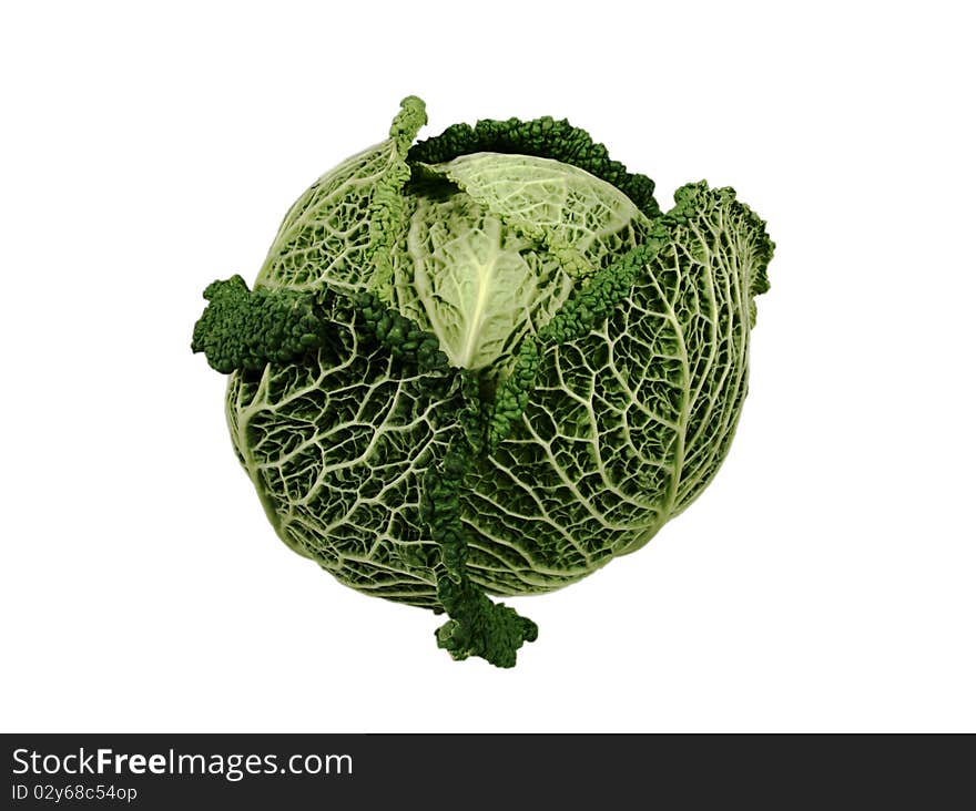 A lovely head of fresh savoy cabbage.