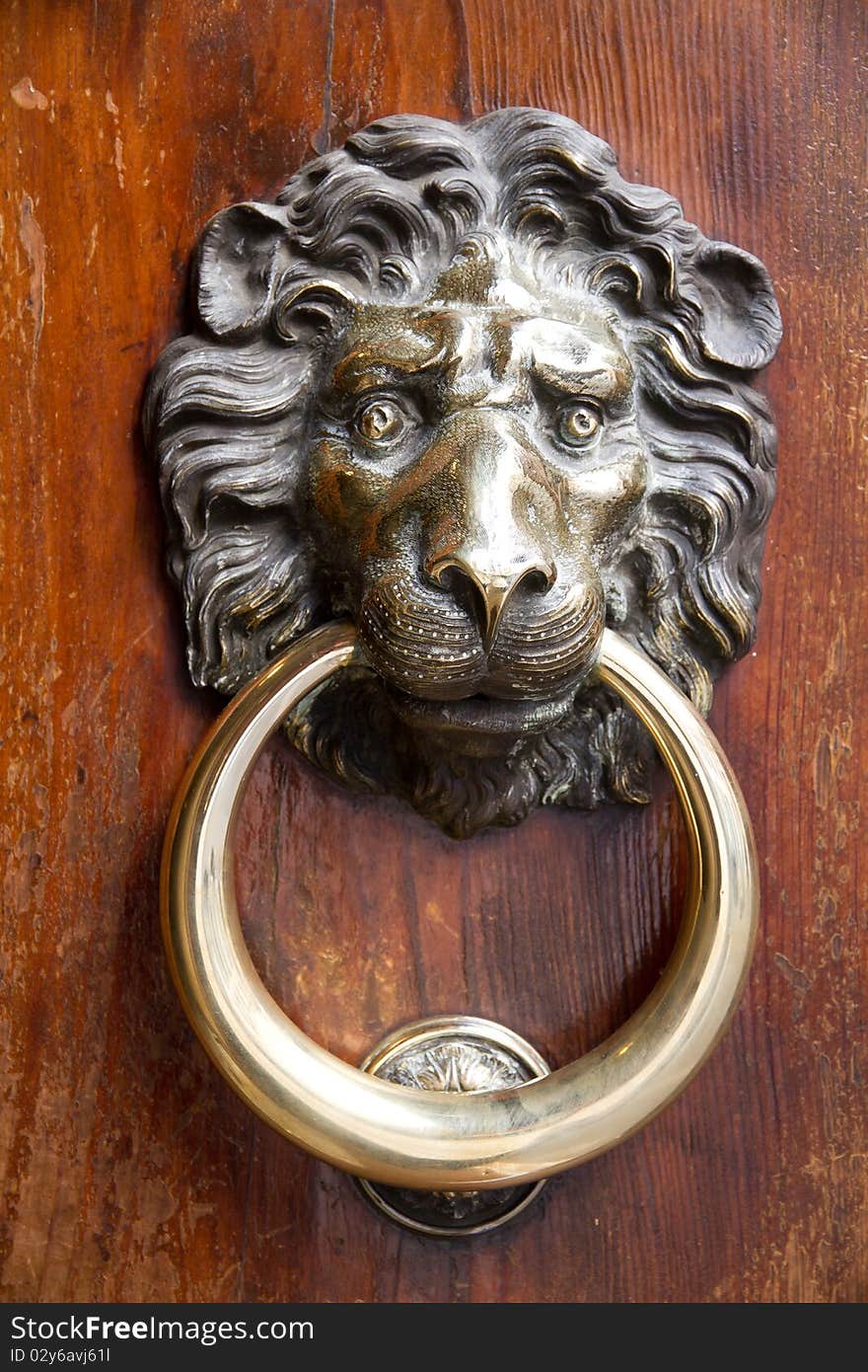 Metallic lion's head holding the ring for knocking to the heavens door. Metallic lion's head holding the ring for knocking to the heavens door