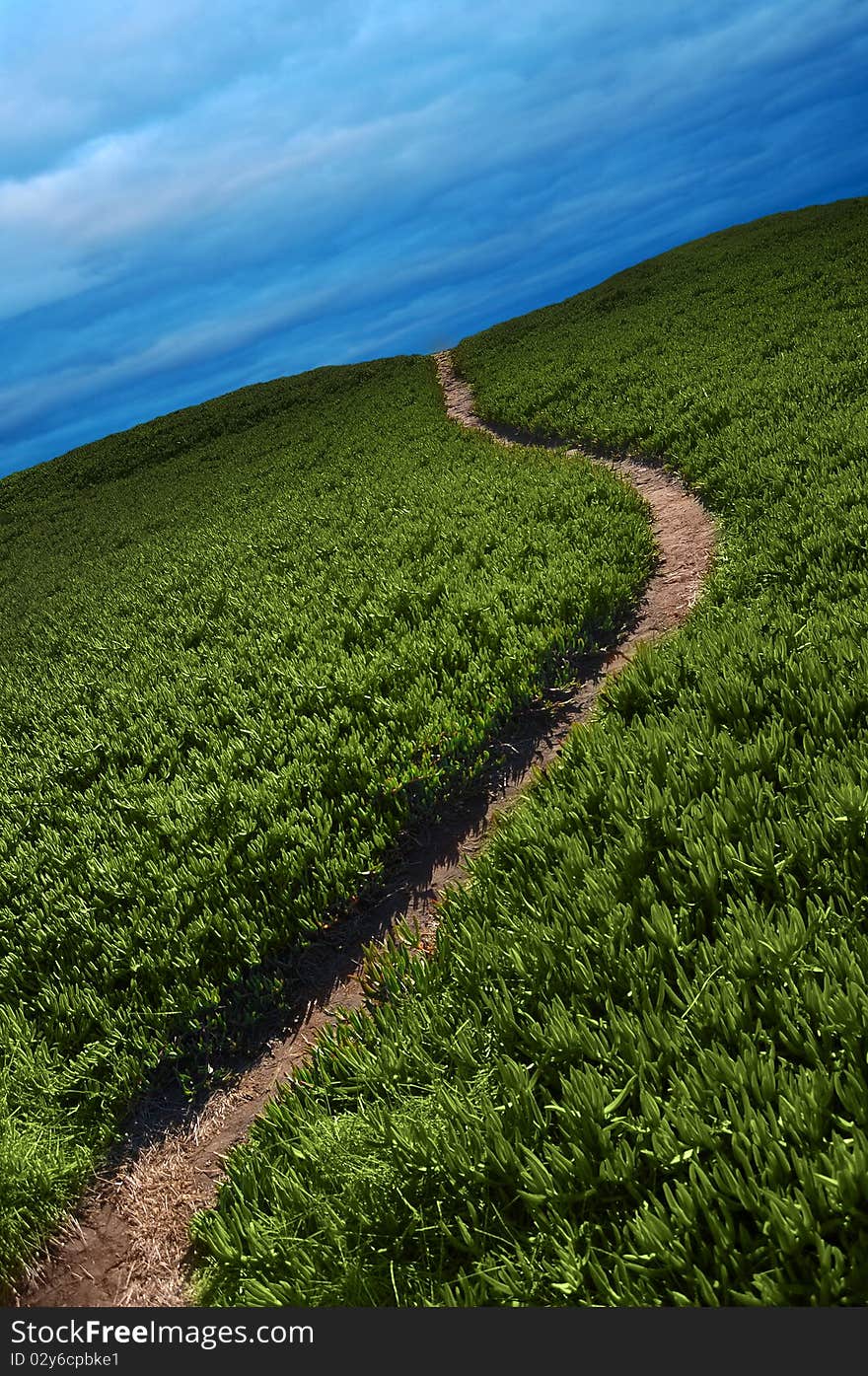 Narrow dirt pathway going through green ice plant off into the horizon with blue overcast clouds above. Narrow dirt pathway going through green ice plant off into the horizon with blue overcast clouds above