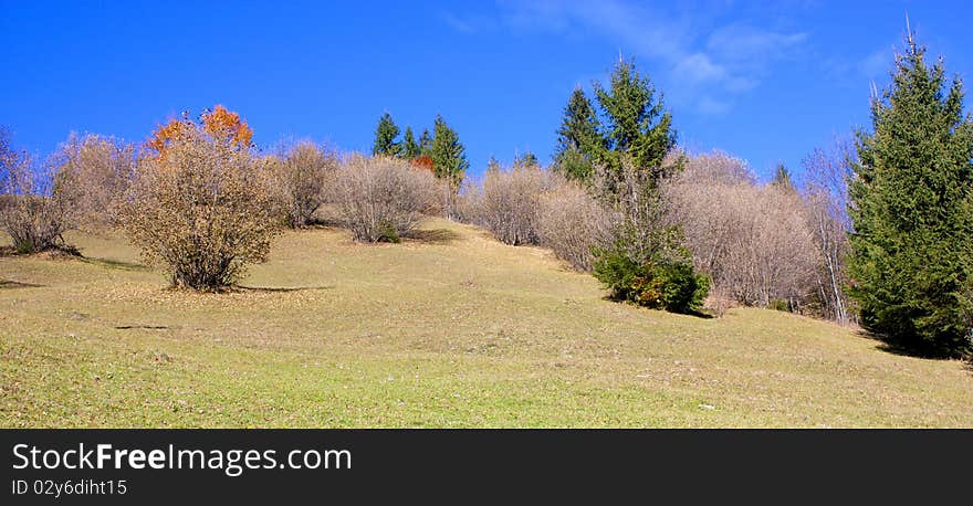 Mountain and forest in autumn season in Romania