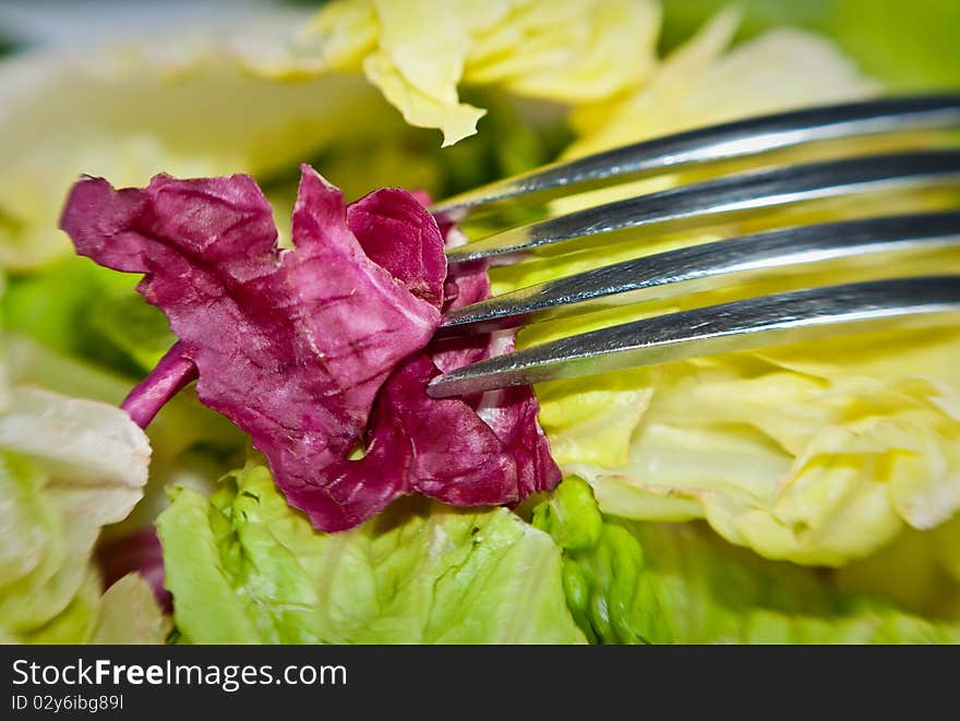 Green salad on the fork